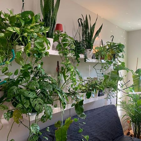 Appartement Urban Jungle Oasis In Queens! à New York Extérieur photo