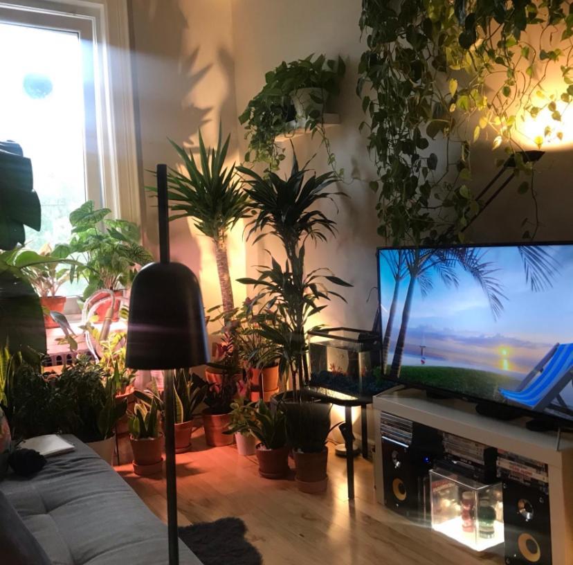 Appartement Urban Jungle Oasis In Queens! à New York Extérieur photo