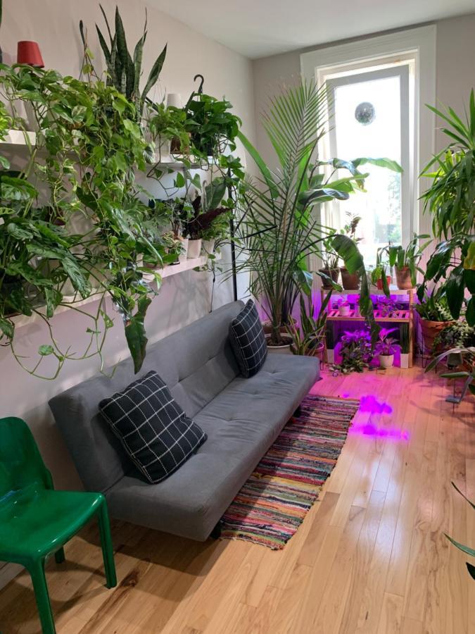 Appartement Urban Jungle Oasis In Queens! à New York Extérieur photo