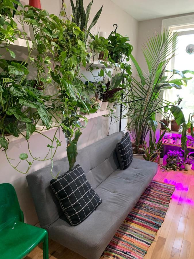 Appartement Urban Jungle Oasis In Queens! à New York Extérieur photo