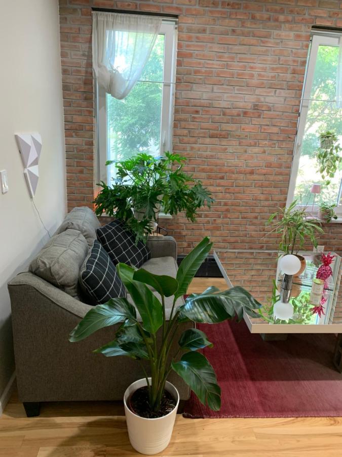 Appartement Urban Jungle Oasis In Queens! à New York Extérieur photo