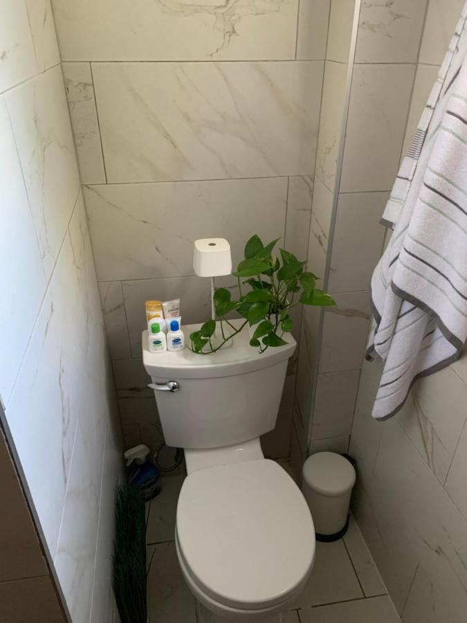 Appartement Urban Jungle Oasis In Queens! à New York Extérieur photo