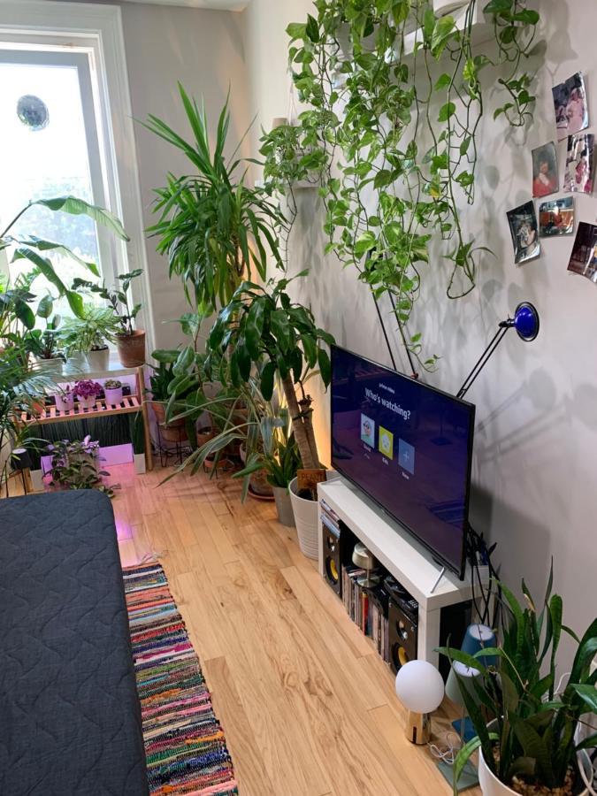 Appartement Urban Jungle Oasis In Queens! à New York Extérieur photo